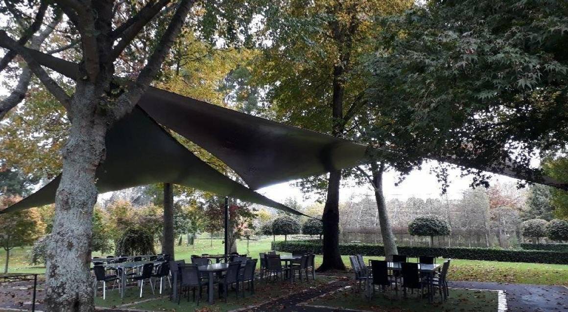 Shade Sails In The Trees