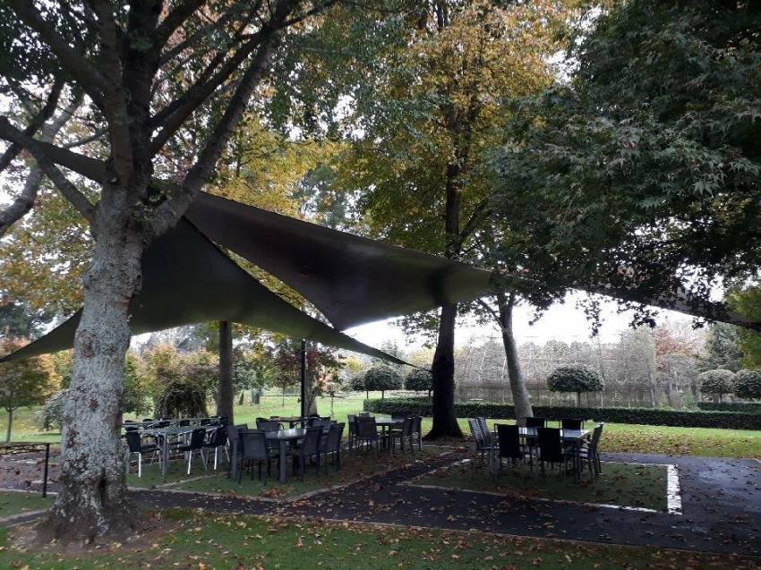 Shade Sails In The Trees